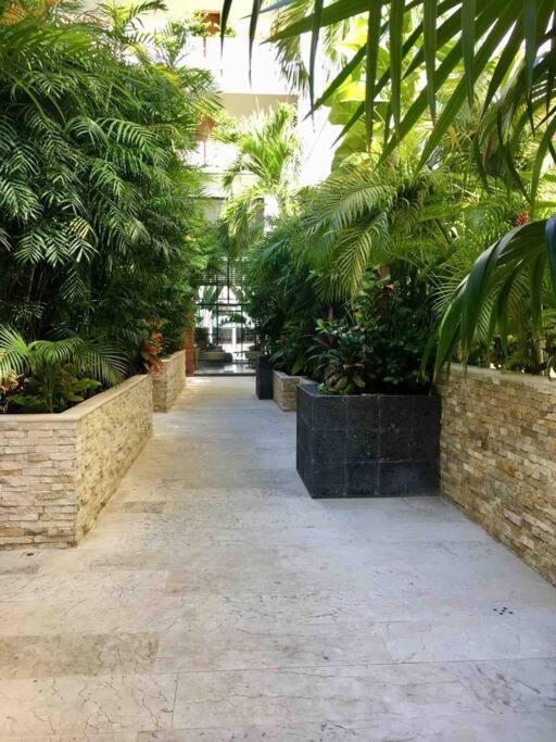 Your Exclusive Studio In The City - Top Amenities & Services For Free!! 신데 델 카르멘 외부 사진