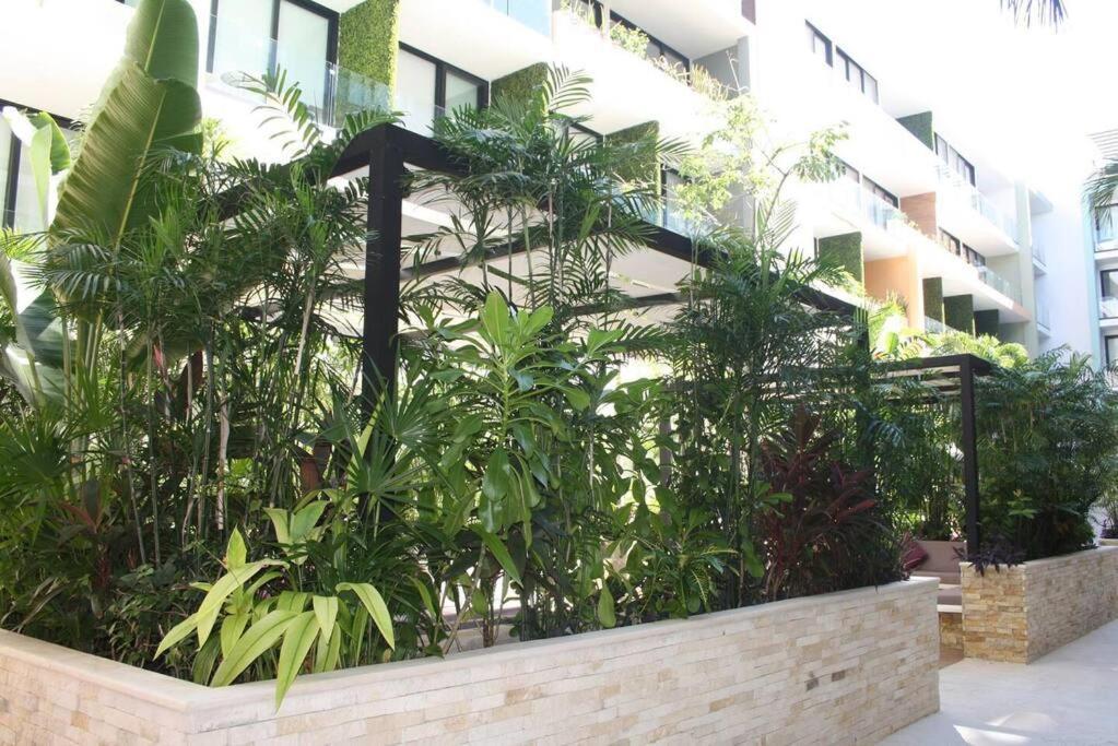 Your Exclusive Studio In The City - Top Amenities & Services For Free!! 신데 델 카르멘 외부 사진